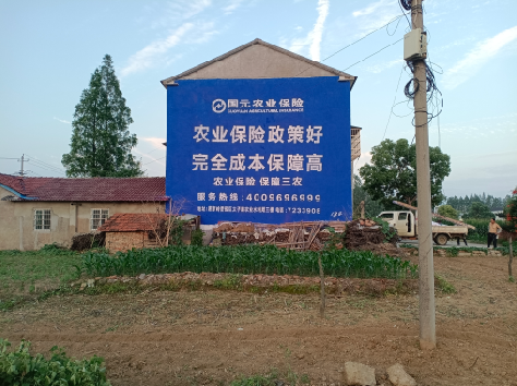 凤庆墙体广告的优劣势你知道吗？