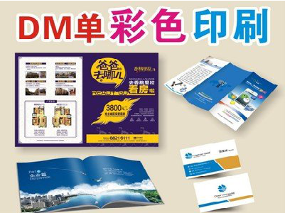 凤庆单页印刷,色彩搭配简单。